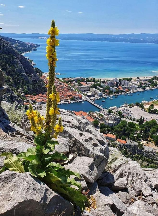 Amazing Sea View Apartamento Omiš Exterior foto